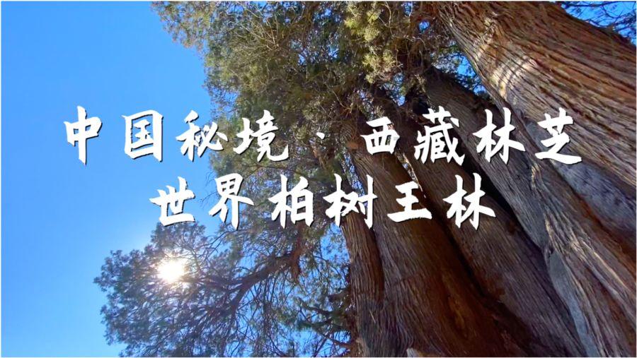 救援传统的印度女孩