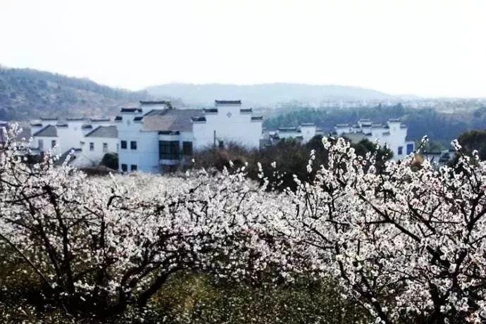 摇滚乐团的装扮