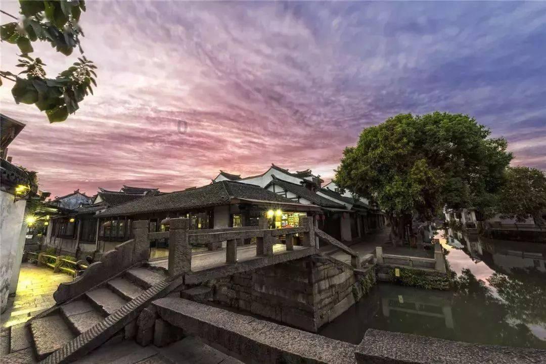 植物大战僵尸3